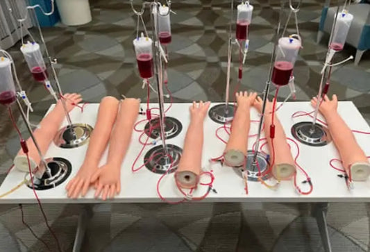 Phlebotomy - Fort Lauderdale
